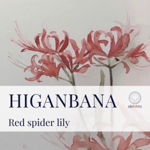 Read more about the article Higanbana (Red spider lily) – Japanese pattern meaning