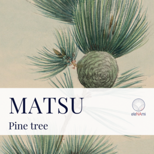 Read more about the article Japanese pattern – Matsu (pine tree)